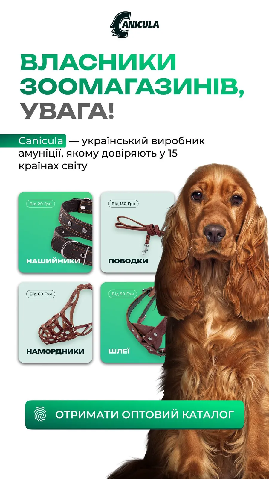 Рекламный креатив 1001-LEAD